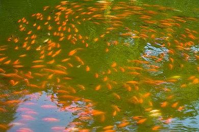 据报道腾讯叫停了一款《尼尔》手游 已秘密开发两年